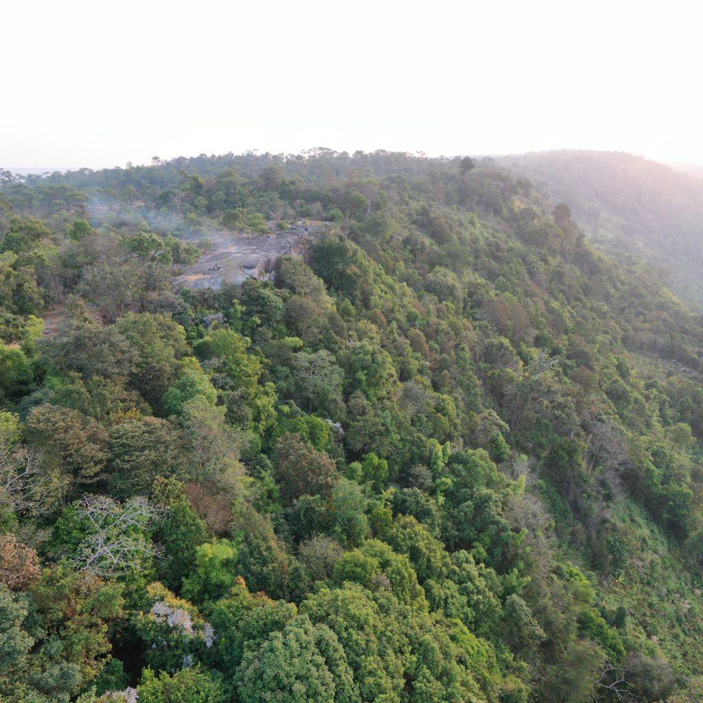 ອຸທິຍານແຫ່ງຊາດພູເຂົາຄວາຍ 1 ໃນ 6 ອຸທິຍານແຫ່ງຊາດ ໃນ ສປປ ລາວ - 103210593 2668064506771572 1372474965193361430 n - ອຸທິຍານແຫ່ງຊາດພູເຂົາຄວາຍ 1 ໃນ 6 ອຸທິຍານແຫ່ງຊາດ ໃນ ສປປ ລາວ ອຸທິຍານແຫ່ງຊາດພູເຂົາຄວາຍ 1 ໃນ 6 ອຸທິຍານແຫ່ງຊາດ ໃນ ສປປ ລາວ - 103210593 2668064506771572 1372474965193361430 n - ອຸທິຍານແຫ່ງຊາດພູເຂົາຄວາຍ 1 ໃນ 6 ອຸທິຍານແຫ່ງຊາດ ໃນ ສປປ ລາວ