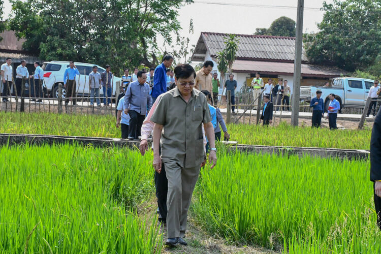 ປະທານປະເທດ ລົງຊຸກຍູ້ການຜະລິດເປັນສິນຄ້າຢູ່ເມືອງໂຂງ ເພື່ອສ້າງຖານລາຍຮັບໃຫ້ເຂັ້ມແຂງ ແລະ ຍືນຍົງ - 337903 e1679902767807 - ປະທານປະເທດ ລົງຊຸກຍູ້ການຜະລິດເປັນສິນຄ້າຢູ່ເມືອງໂຂງ ເພື່ອສ້າງຖານລາຍຮັບໃຫ້ເຂັ້ມແຂງ ແລະ ຍືນຍົງ ປະທານປະເທດ ລົງຊຸກຍູ້ການຜະລິດເປັນສິນຄ້າຢູ່ເມືອງໂຂງ ເພື່ອສ້າງຖານລາຍຮັບໃຫ້ເຂັ້ມແຂງ ແລະ ຍືນຍົງ - 337903 e1679902767807 - ປະທານປະເທດ ລົງຊຸກຍູ້ການຜະລິດເປັນສິນຄ້າຢູ່ເມືອງໂຂງ ເພື່ອສ້າງຖານລາຍຮັບໃຫ້ເຂັ້ມແຂງ ແລະ ຍືນຍົງ