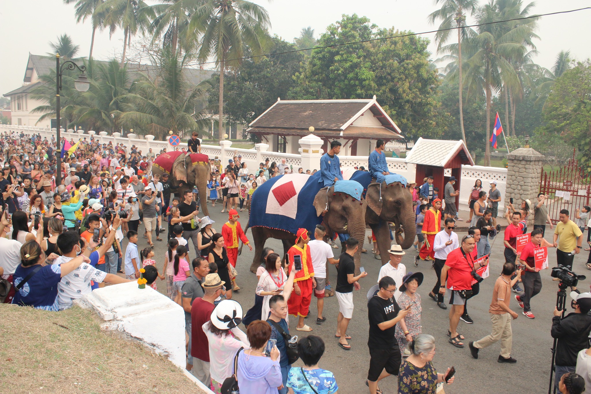 ພິທີແຫ່ຊ້າງຮຽງເກີຍ ໃນເທສະການບຸນປີໃໝ່ລາວ ພສ 2566 ຢູ່ແຂວງຫລວງພະບາງ ວັນທີ 13 ເມສາ 2023 - 3412933 - ພິທີແຫ່ຊ້າງຮຽງເກີຍ ໃນເທສະການບຸນປີໃໝ່ລາວ ພສ 2566 ຢູ່ແຂວງຫລວງພະບາງ ວັນທີ 13 ເມສາ 2023 ພິທີແຫ່ຊ້າງຮຽງເກີຍ ໃນເທສະການບຸນປີໃໝ່ລາວ ພສ 2566 ຢູ່ແຂວງຫລວງພະບາງ ວັນທີ 13 ເມສາ 2023 - 3412933 - ພິທີແຫ່ຊ້າງຮຽງເກີຍ ໃນເທສະການບຸນປີໃໝ່ລາວ ພສ 2566 ຢູ່ແຂວງຫລວງພະບາງ ວັນທີ 13 ເມສາ 2023