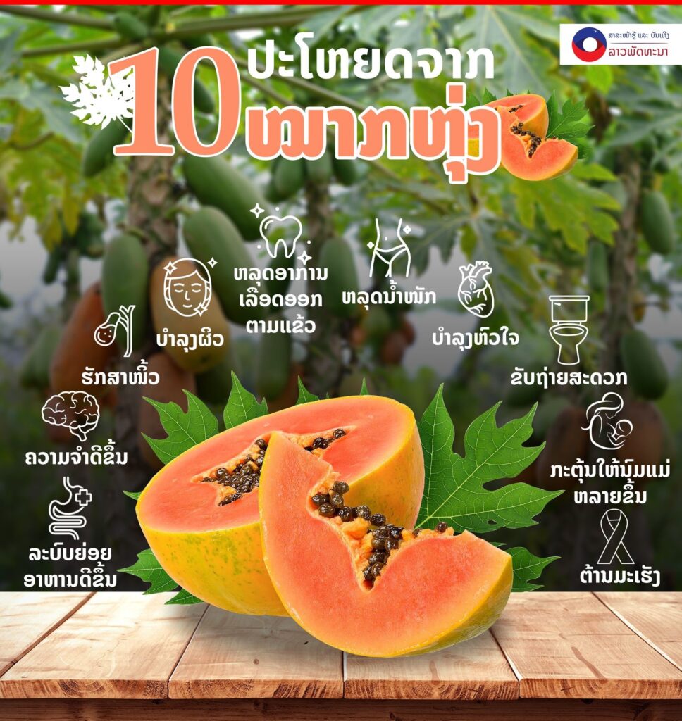 10 ປະໂຫຍດຈາກໝາກຫຸ່ງ - 351455207 920807069223880 3140207391429181534 n 1 968x1024 - 10 ປະໂຫຍດຈາກໝາກຫຸ່ງ