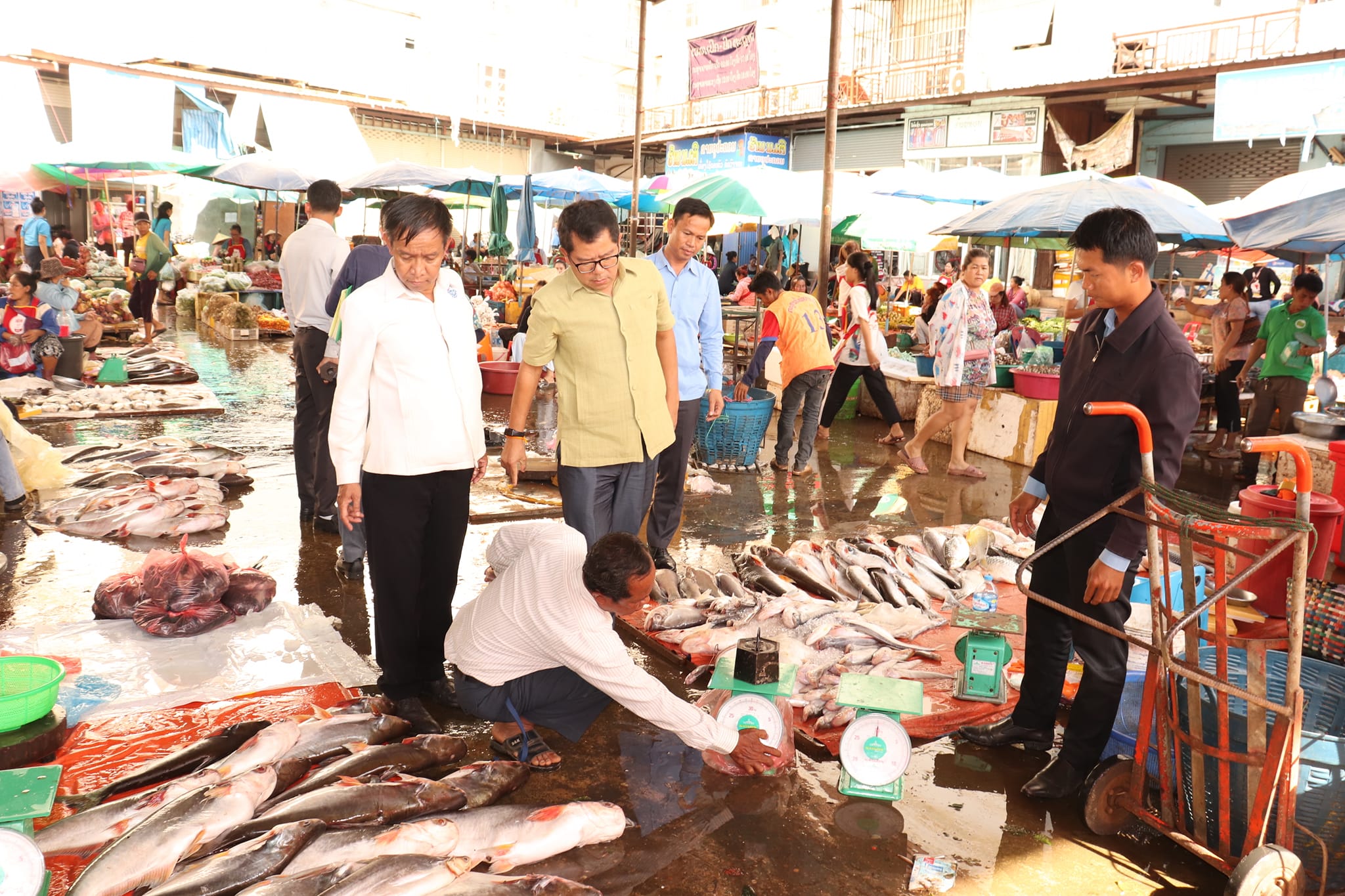 ເຈົ້າໜ້າທີ່ການຄ້າແຂວງຈຳປາສັກ ກັກຢຶດຊິງຊັ່ງ ຊື້-ຂາຍປາທີ່ບໍ່ໄດ້ມາດຕະຖານ ພ້ອມທັງສຶກສາອົບຮົມ ແລະ ປັບໃໝຜູ້ຄ້າຂາຍ - 8757 - ເຈົ້າໜ້າທີ່ການຄ້າແຂວງຈຳປາສັກ ກັກຢຶດຊິງຊັ່ງ ຊື້-ຂາຍປາທີ່ບໍ່ໄດ້ມາດຕະຖານ ພ້ອມທັງສຶກສາອົບຮົມ ແລະ ປັບໃໝຜູ້ຄ້າຂາຍ ເຈົ້າໜ້າທີ່ການຄ້າແຂວງຈຳປາສັກ ກັກຢຶດຊິງຊັ່ງ ຊື້-ຂາຍປາທີ່ບໍ່ໄດ້ມາດຕະຖານ ພ້ອມທັງສຶກສາອົບຮົມ ແລະ ປັບໃໝຜູ້ຄ້າຂາຍ - 8757 - ເຈົ້າໜ້າທີ່ການຄ້າແຂວງຈຳປາສັກ ກັກຢຶດຊິງຊັ່ງ ຊື້-ຂາຍປາທີ່ບໍ່ໄດ້ມາດຕະຖານ ພ້ອມທັງສຶກສາອົບຮົມ ແລະ ປັບໃໝຜູ້ຄ້າຂາຍ