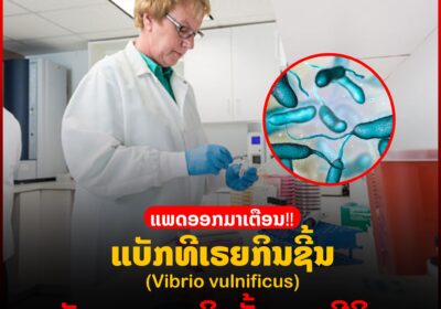 ແພດອອກມາເຕືອນ ແບັກທີເຣຍກິນຊີ້ນ ອັນຕະລາຍເຖິງຂັ້ນເສຍຊີວິດ
