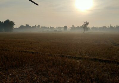 ຈະມີຝົນຕົກໃນລະດັບຄ່ອຍຢູ່ບາງທ້ອງຖິ່ນ ແຕ່ລະພາກ ແລະ ຈະສືບຕໍ່ເຢັນ ຫາ ໜາວເຢັນ  ພ້ອມມີໝອກບາງປົກຫຸ້ມຢູ່ທົ່ວ