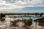 ອຸທົກກະໄພໃນເຄນຢາ ເຮັດໃຫ້ປະຊາຊົນເສຍຊີວິດ ປະມານ 120 ຄົນ